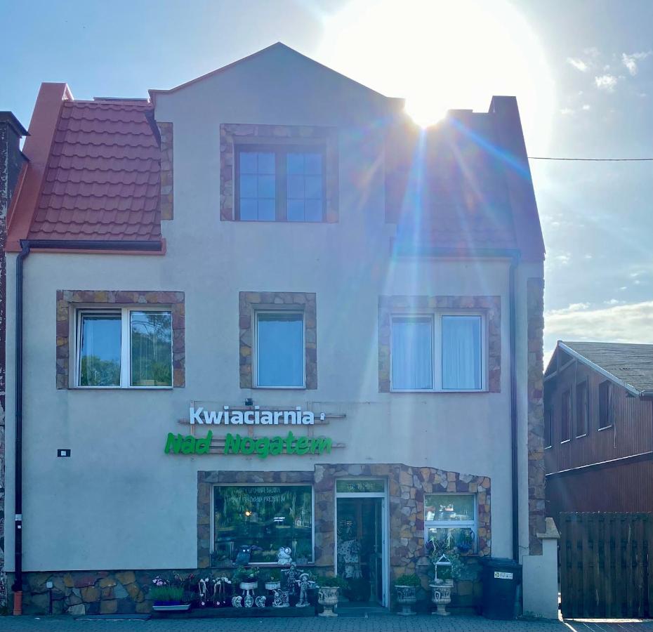 Glowna Apartamenty Nad Nogatem Malbork Exteriér fotografie